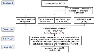 Microwave ablation with hydrodissection used for the treatment of vascular malformations: effectiveness and safety study